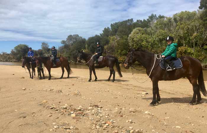 Enjoy a family river ride near the Abel Tasman