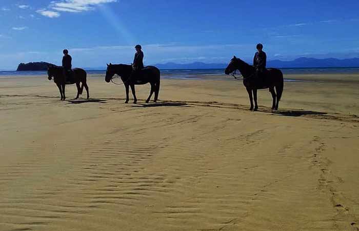 Enjoy a horse fide in Mārahau, Abel Tasman